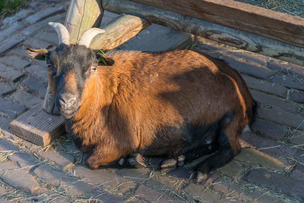 Bed En Breakfast Puur8A Duizel Eksteriør billede